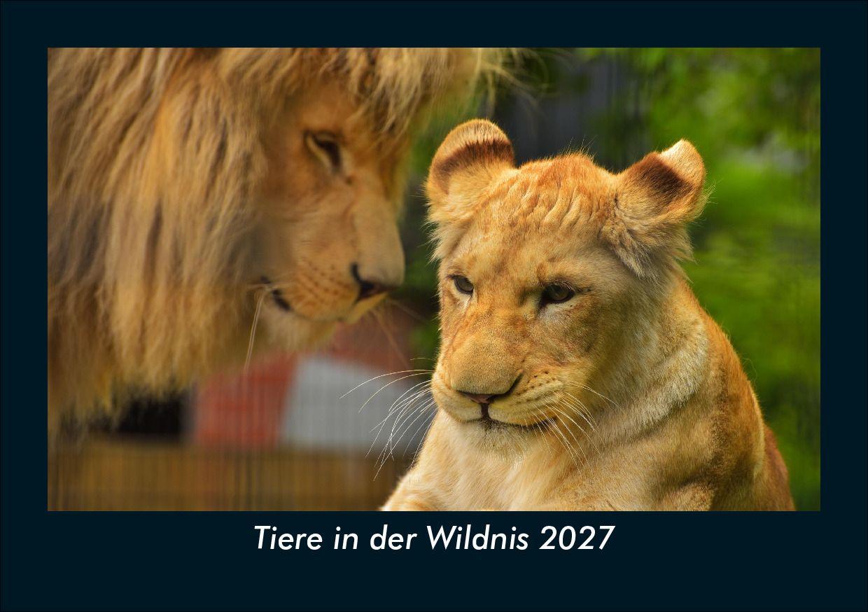 Tiere in der Wildnis 2027 Fotokalender DIN A5