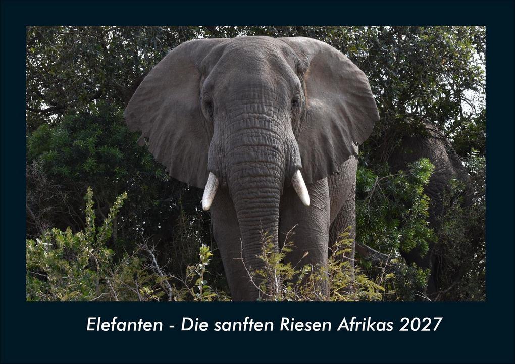 Elefanten - Die sanften Riesen Afrikas 2027 Fotokalender DIN A4