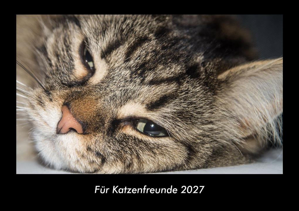 Für Katzenfreunde 2027 Fotokalender DIN A3