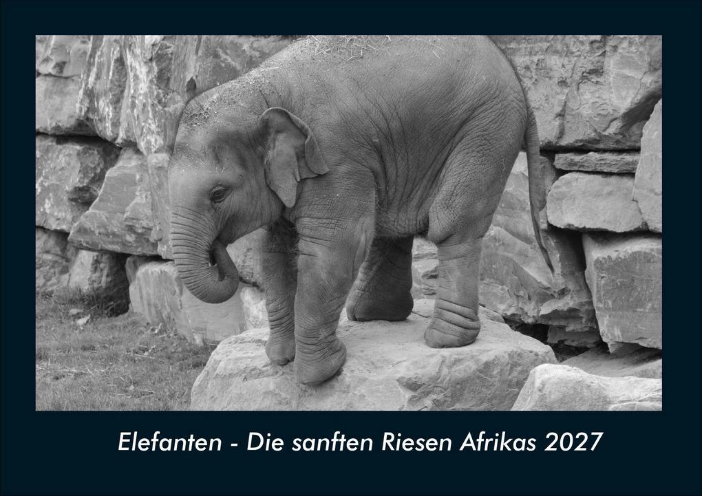 Elefanten - Die sanften Riesen Afrikas 2027 Fotokalender DIN A4
