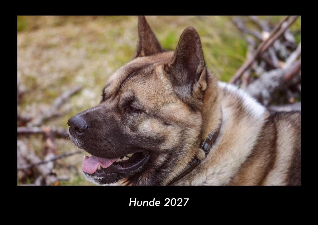 Hunde 2027 Fotokalender DIN A3