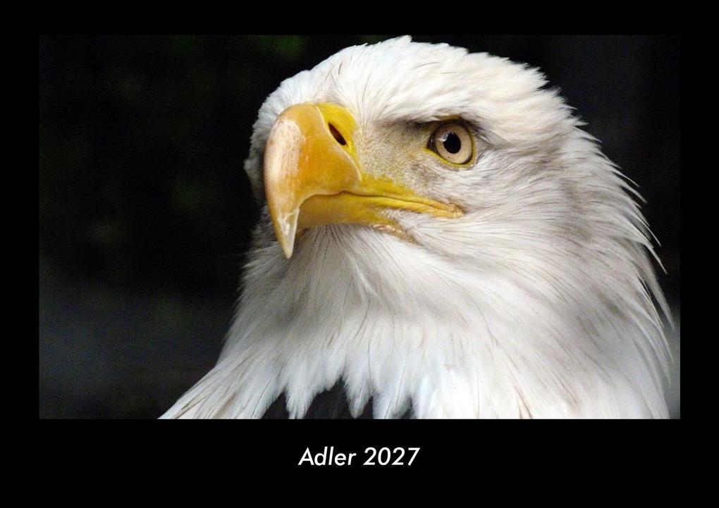 Adler 2027 Fotokalender DIN A3