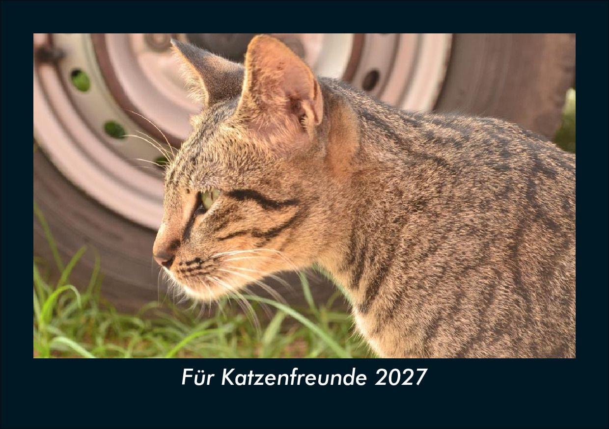 Für Katzenfreunde 2027 Fotokalender DIN A5