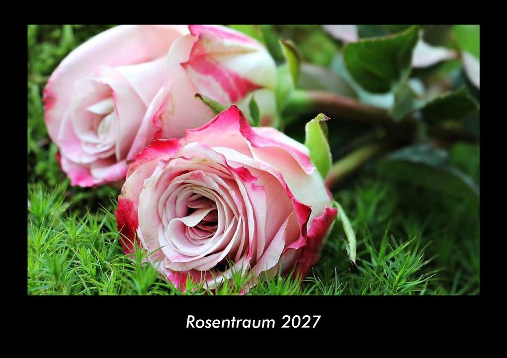 Rosentraum 2027 Fotokalender DIN A3