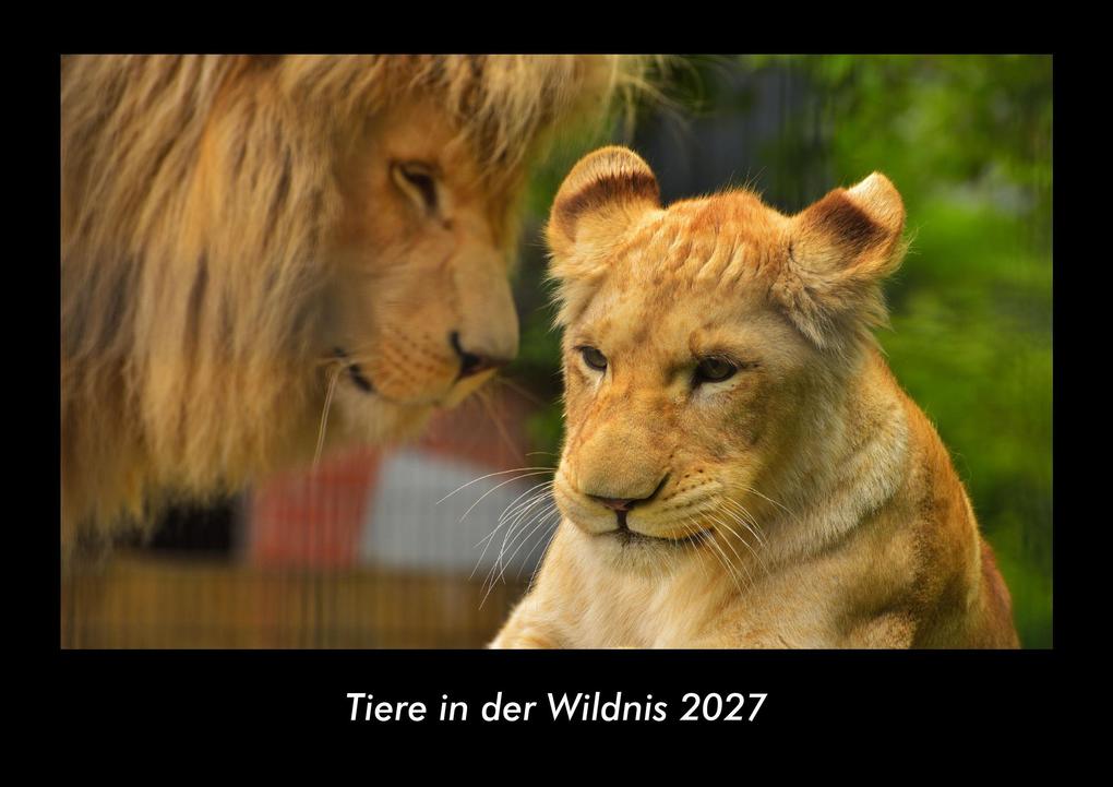 Tiere in der Wildnis 2027 Fotokalender DIN A3