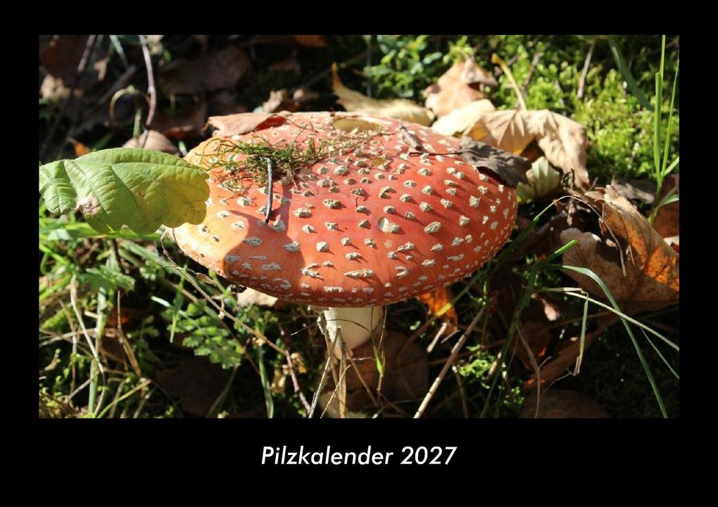 Pilzkalender 2027 Fotokalender DIN A3