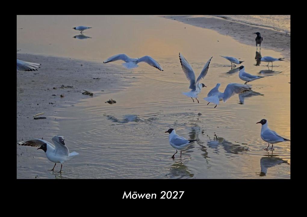 Möwen 2027 Fotokalender DIN A3