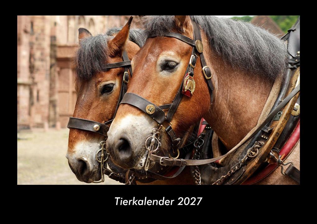 Tierkalender 2027 Fotokalender DIN A3