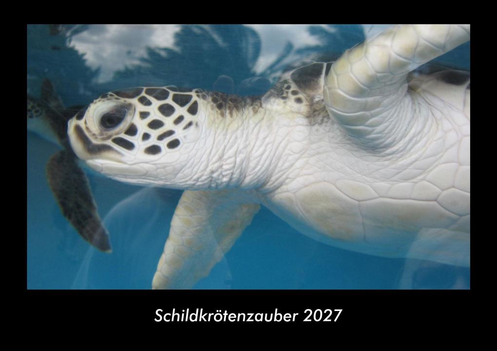 Schildkrötenzauber 2027 Fotokalender DIN A3