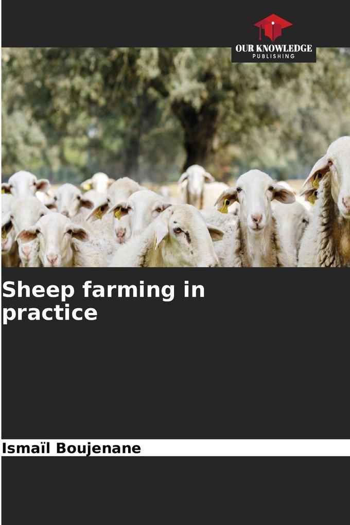 Sheep farming in practice