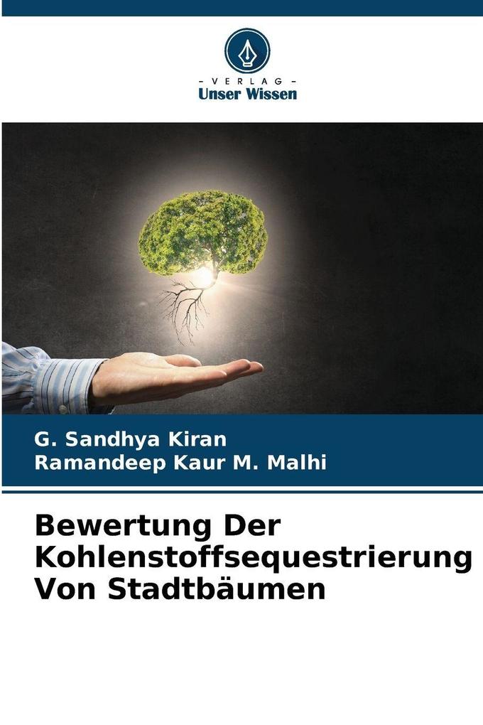 Bewertung Der Kohlenstoffsequestrierung Von Stadtbäumen