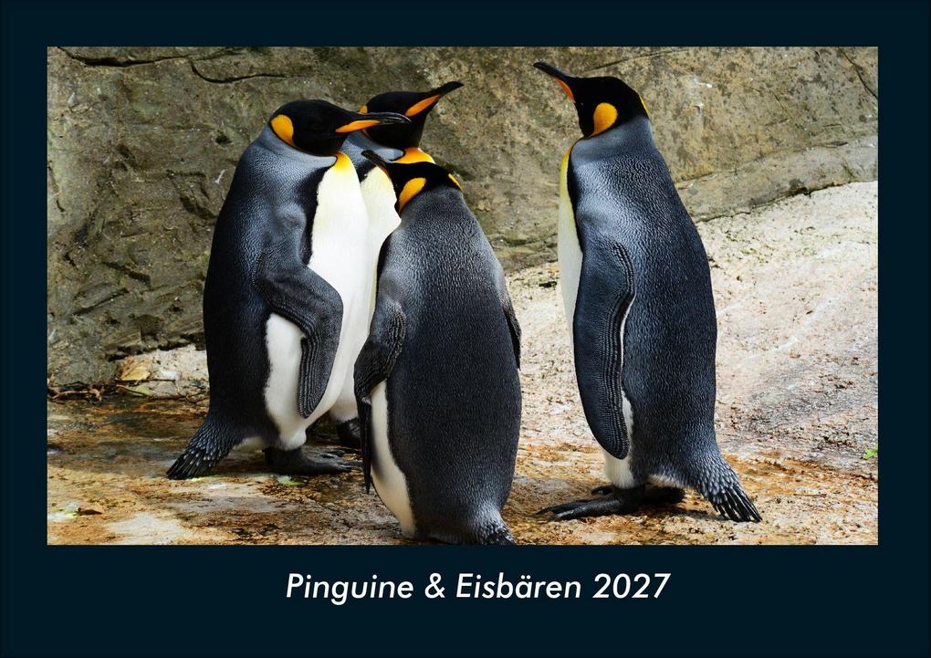 Pinguine & Eisbären 2027 Fotokalender DIN A4
