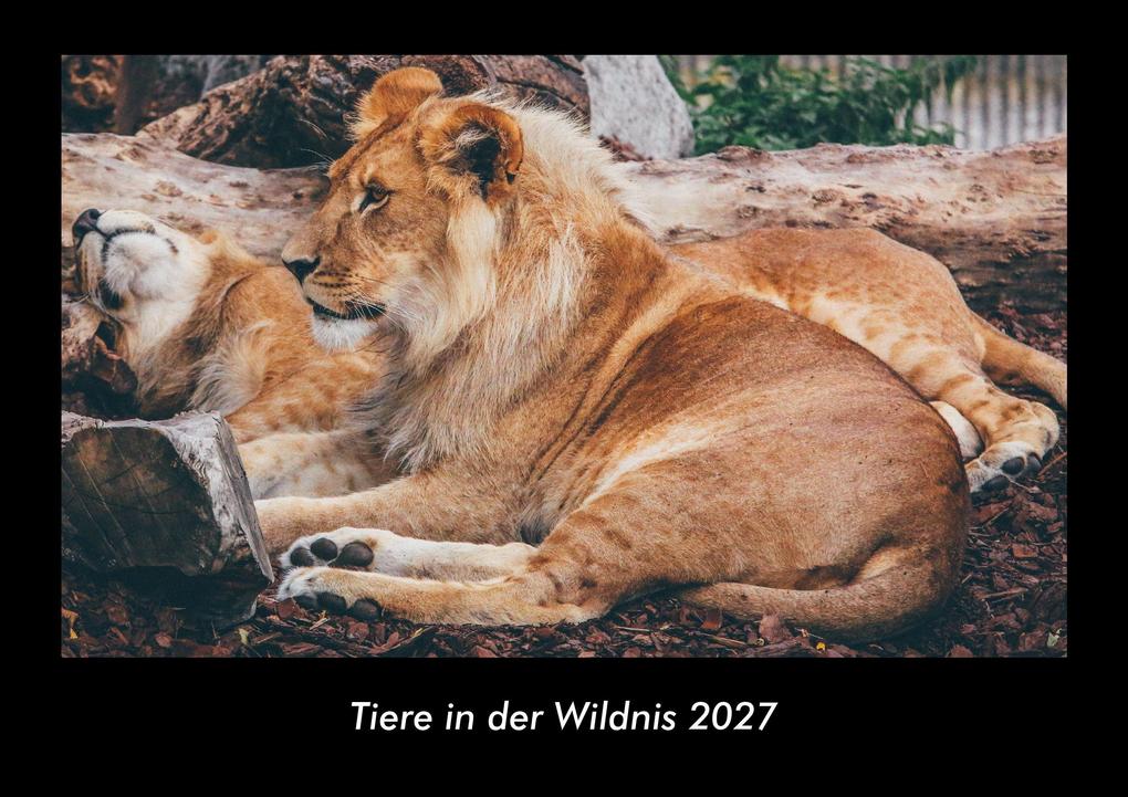 Tiere in der Wildnis 2027 Fotokalender DIN A3