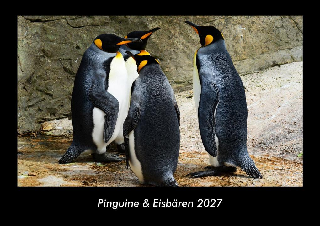 Pinguine & Eisbären 2027 Fotokalender DIN A3