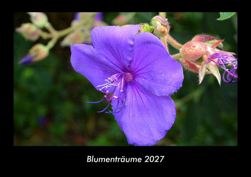 Blumenträume 2027 Fotokalender DIN A3