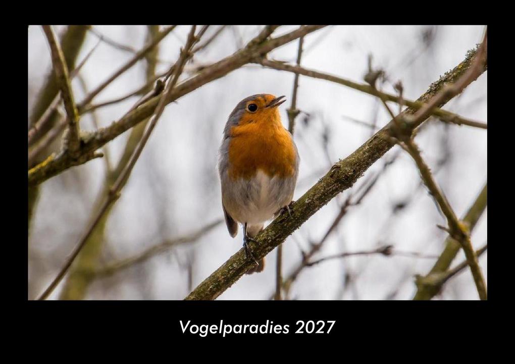 Vogelparadies 2027 Fotokalender DIN A3