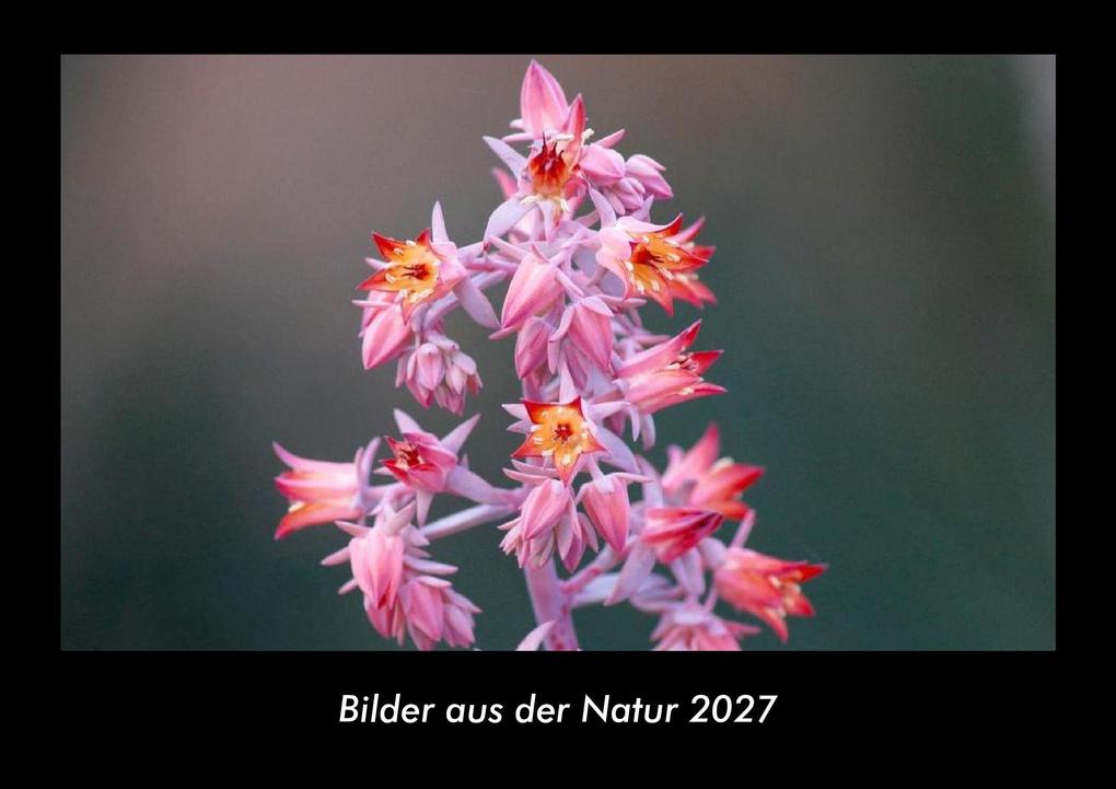 Bilder aus der Natur 2027 Fotokalender DIN A3