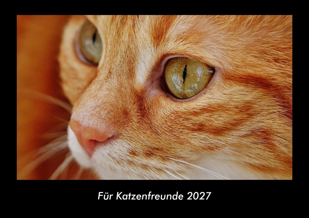 Für Katzenfreunde 2027 Fotokalender DIN A3