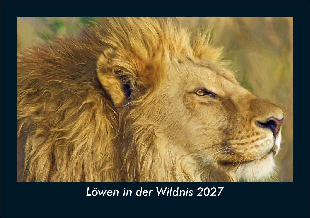Löwen in der Wildnis 2027 Fotokalender DIN A5