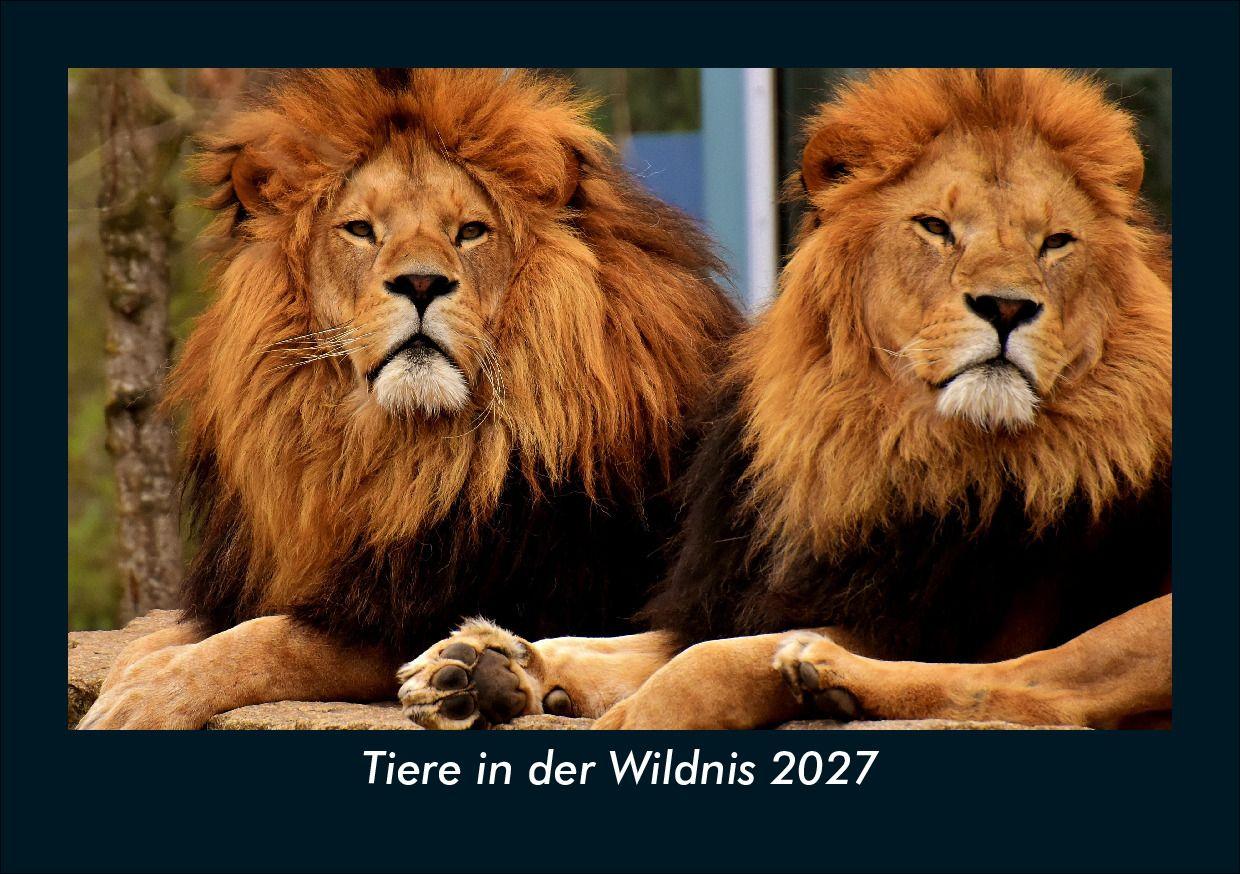 Tiere in der Wildnis 2027 Fotokalender DIN A5