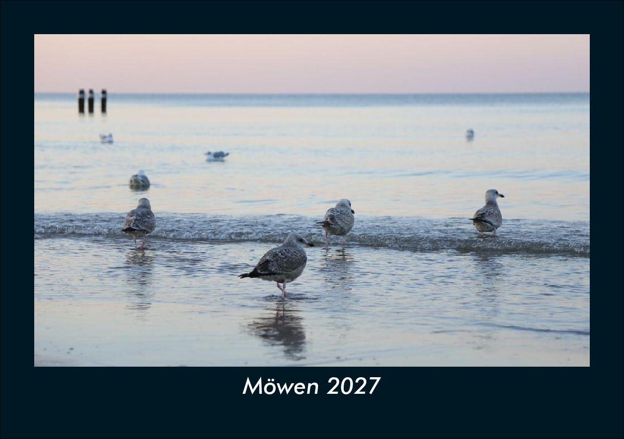 Möwen 2027 Fotokalender DIN A5