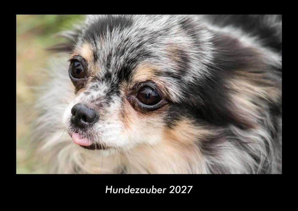 Hundezauber 2027 Fotokalender DIN A3