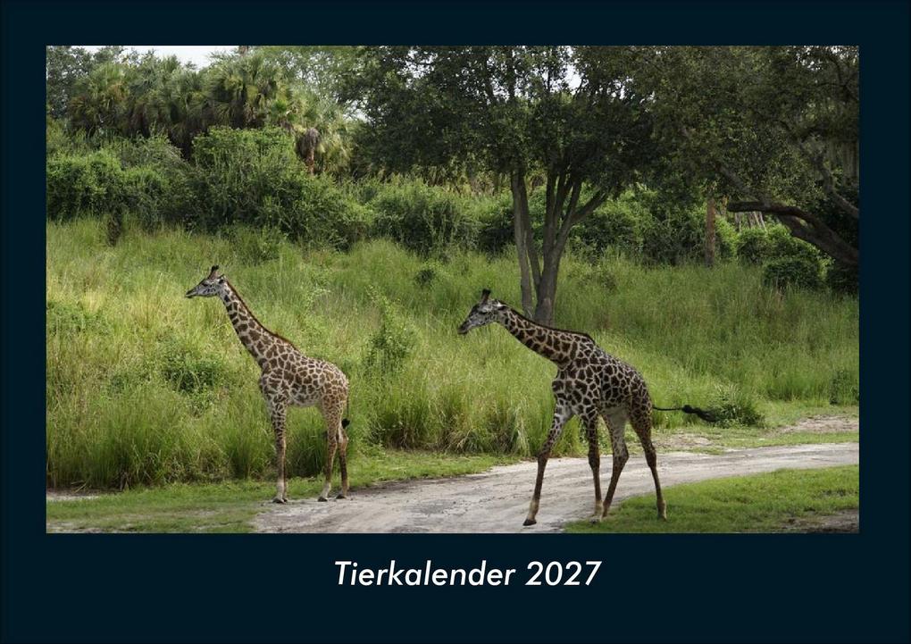 Tierkalender 2027 Fotokalender DIN A4