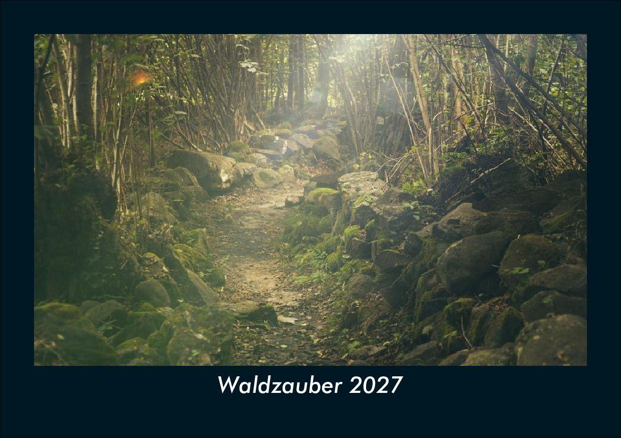 Waldzauber 2027 Fotokalender DIN A5
