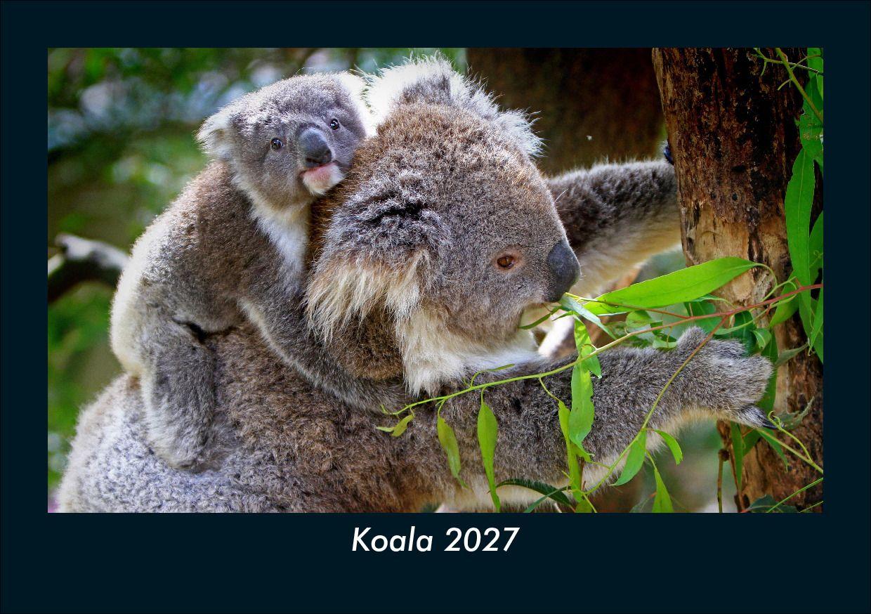Koala 2027 Fotokalender DIN A5