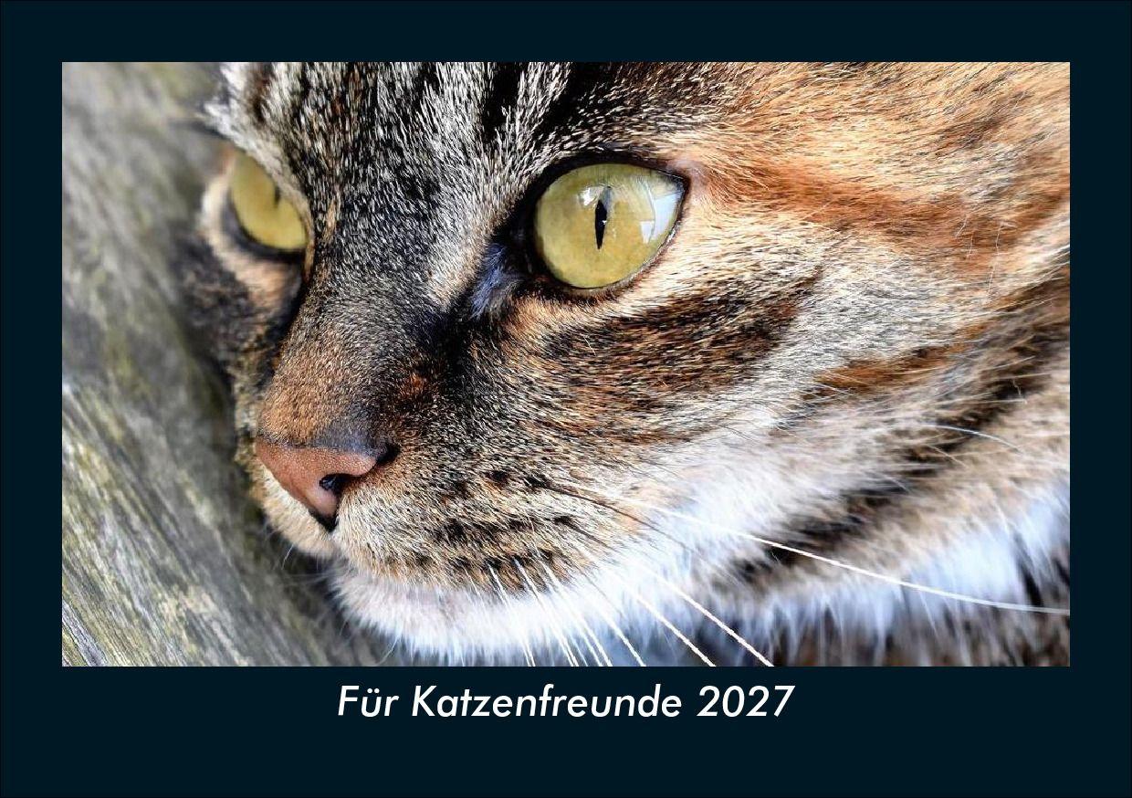 Für Katzenfreunde 2027 Fotokalender DIN A5