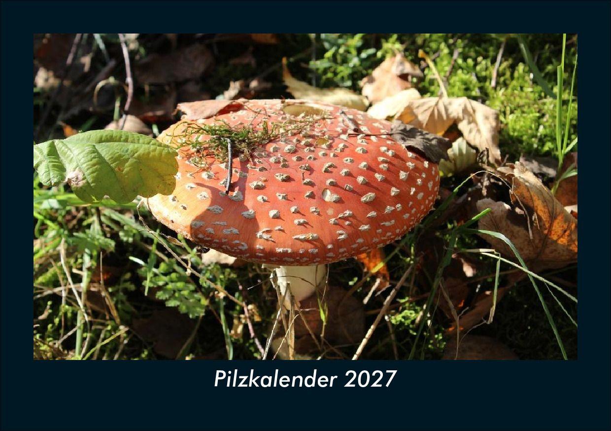 Pilzkalender 2027 Fotokalender DIN A5