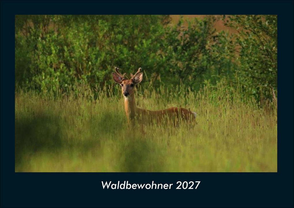 Waldbewohner 2027 Fotokalender DIN A4