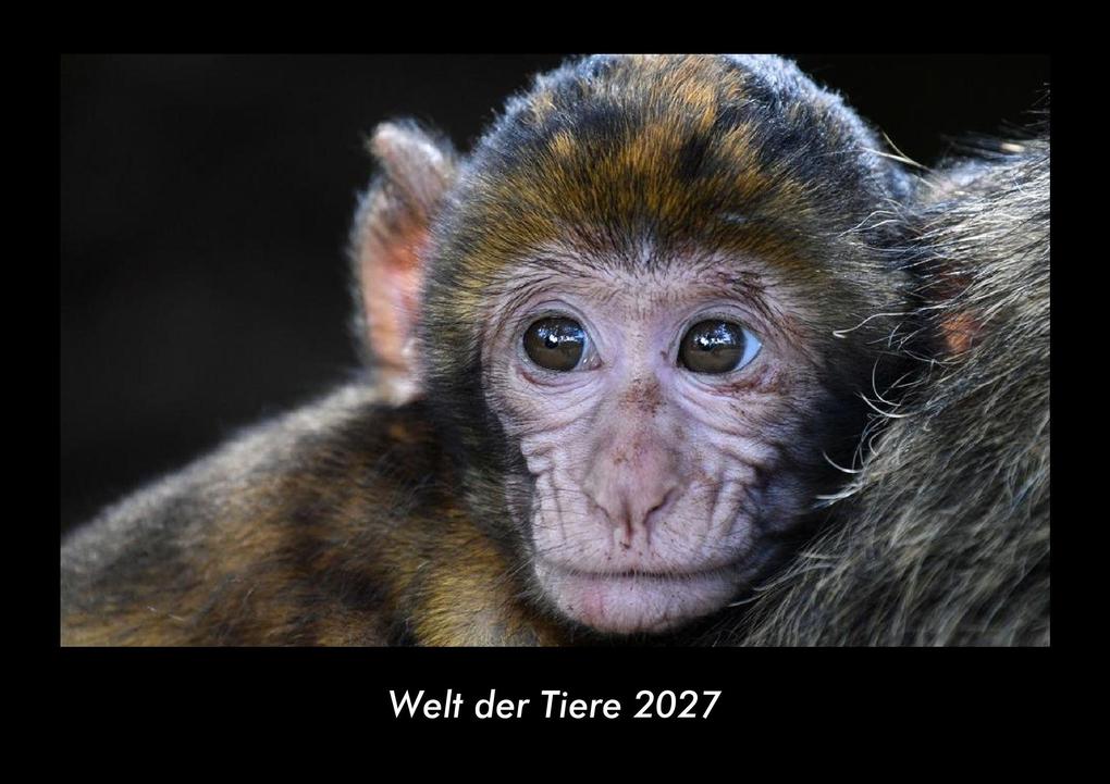Welt der Tiere 2027 Fotokalender DIN A3