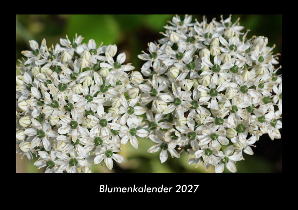 Blumenkalender 2027 Fotokalender DIN A3
