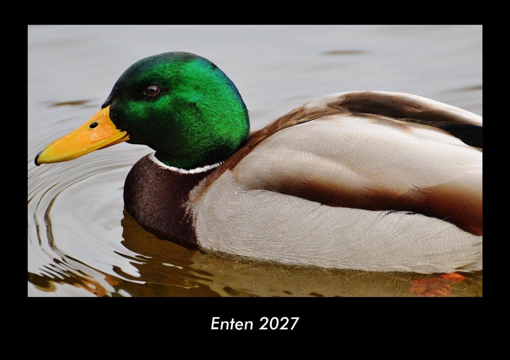 Enten 2027 Fotokalender DIN A3
