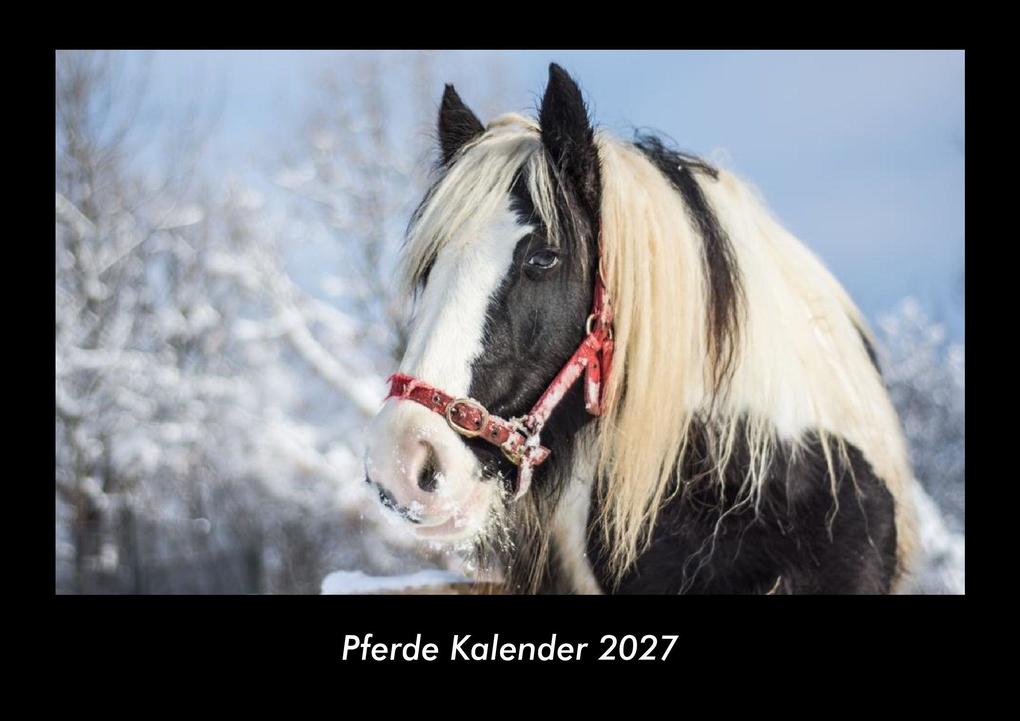 Pferde Kalender 2027 Fotokalender DIN A3