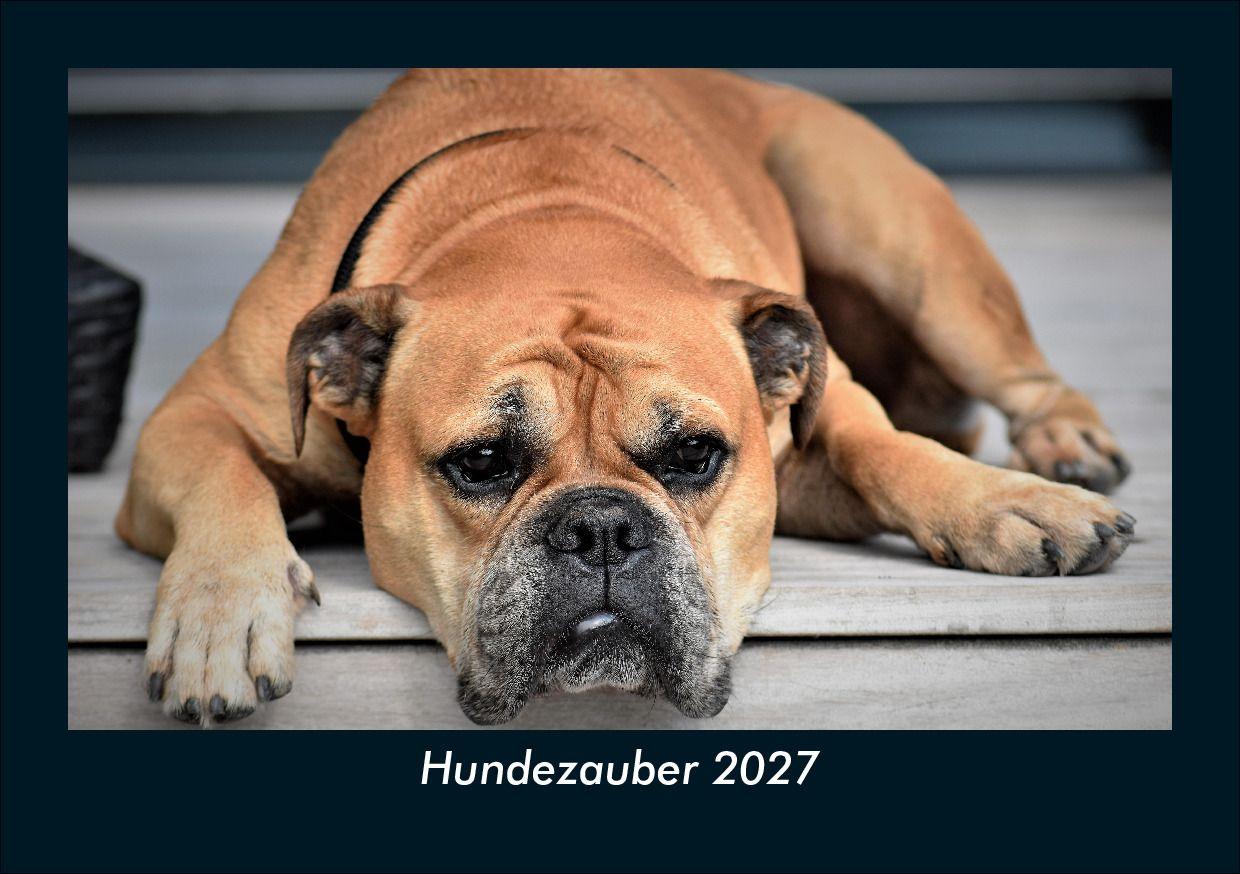 Hundezauber 2027 Fotokalender DIN A5