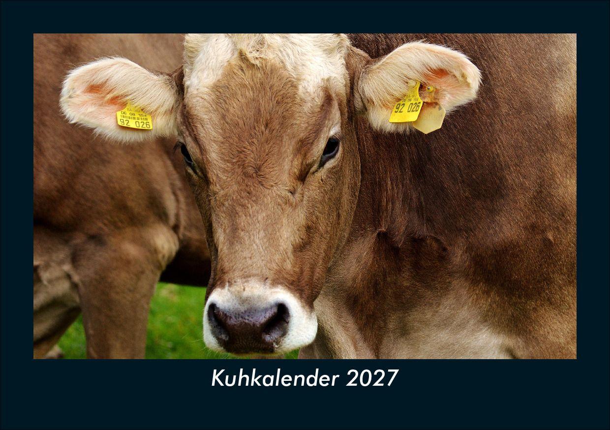 Kuhkalender 2027 Fotokalender DIN A5