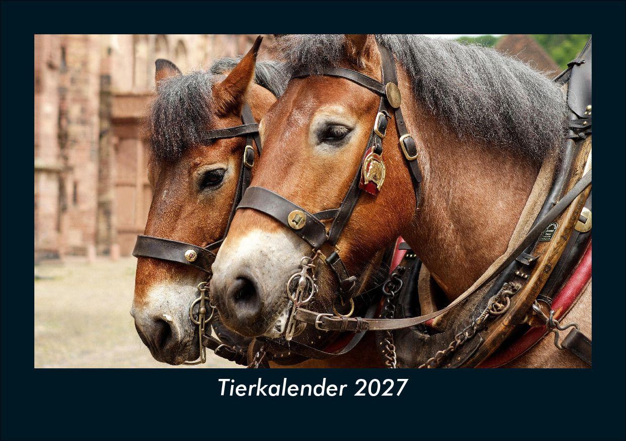 Tierkalender 2027 Fotokalender DIN A5