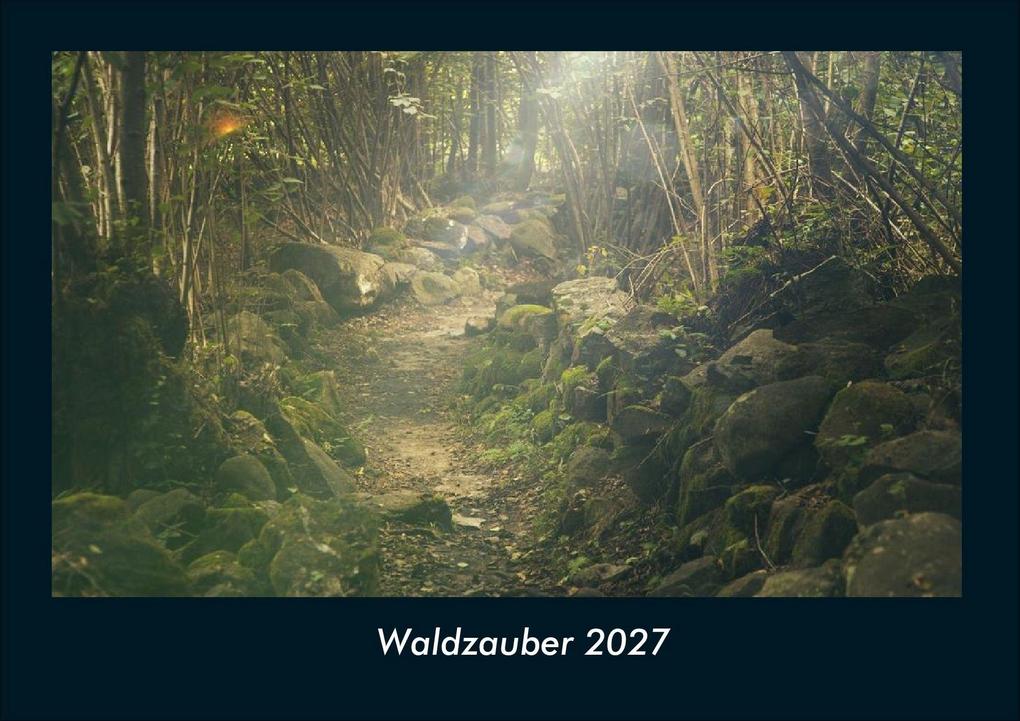 Waldzauber 2027 Fotokalender DIN A4