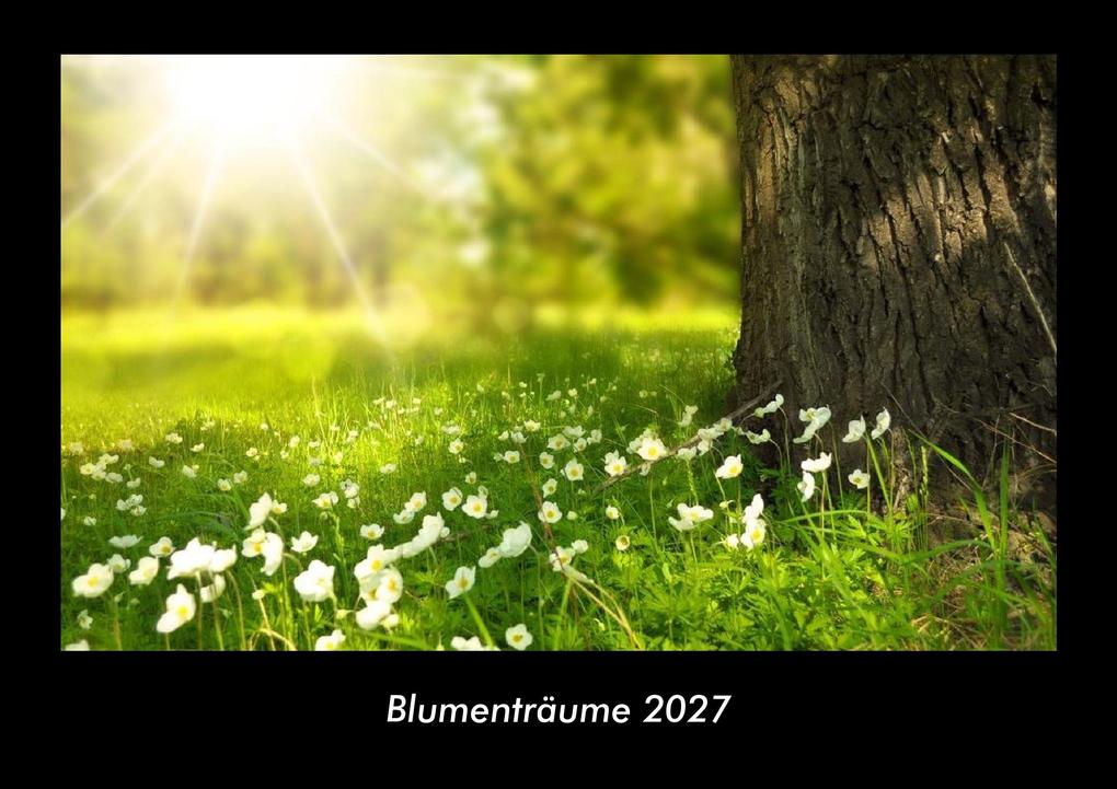 Blumenträume 2027 Fotokalender DIN A3