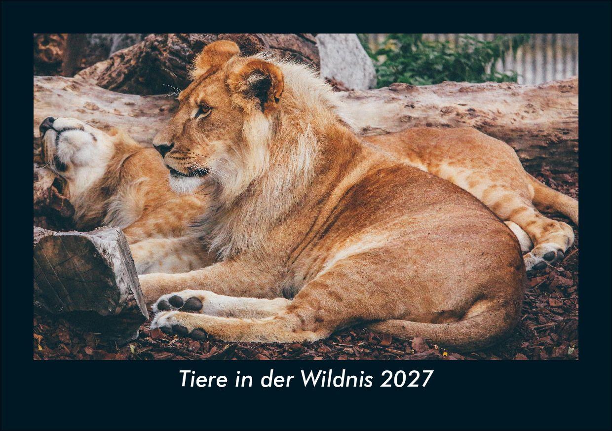 Tiere in der Wildnis 2027 Fotokalender DIN A5