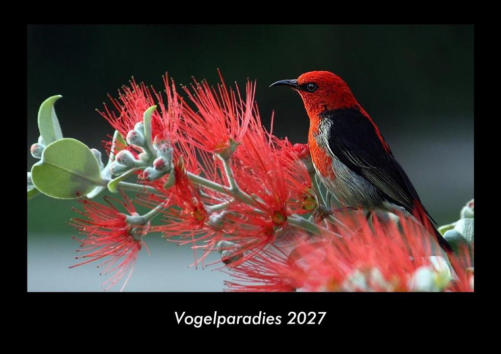 Vogelparadies 2027 Fotokalender DIN A3