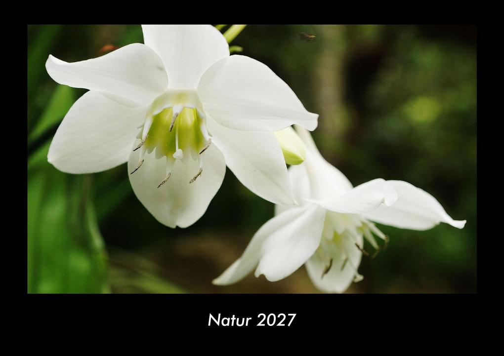 Natur 2027 Fotokalender DIN A3