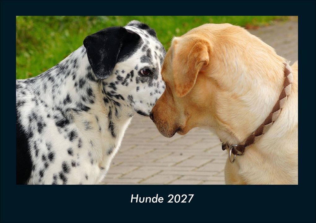 Hunde 2027 Fotokalender DIN A4