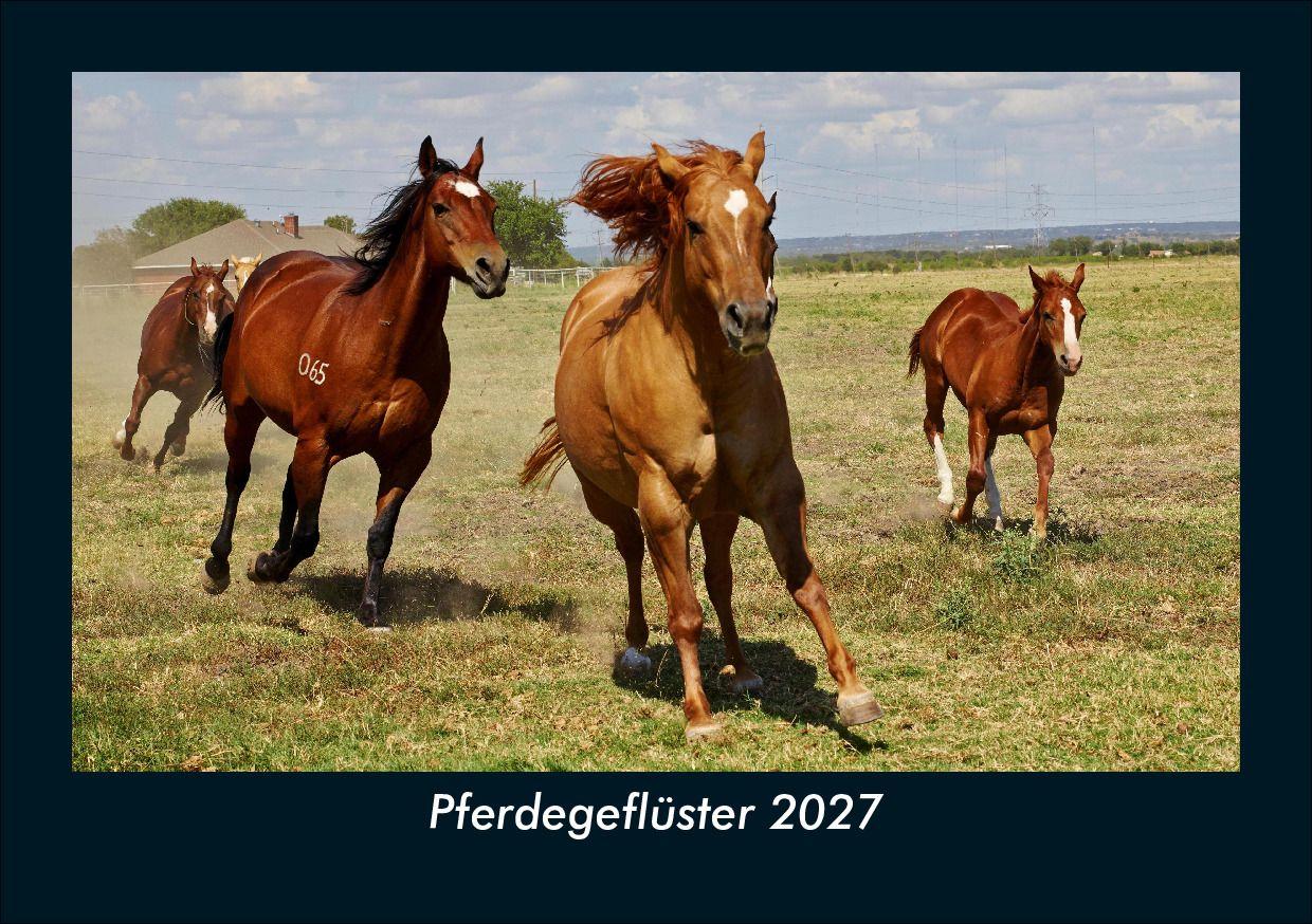 Pferdegeflüster 2027 Fotokalender DIN A5