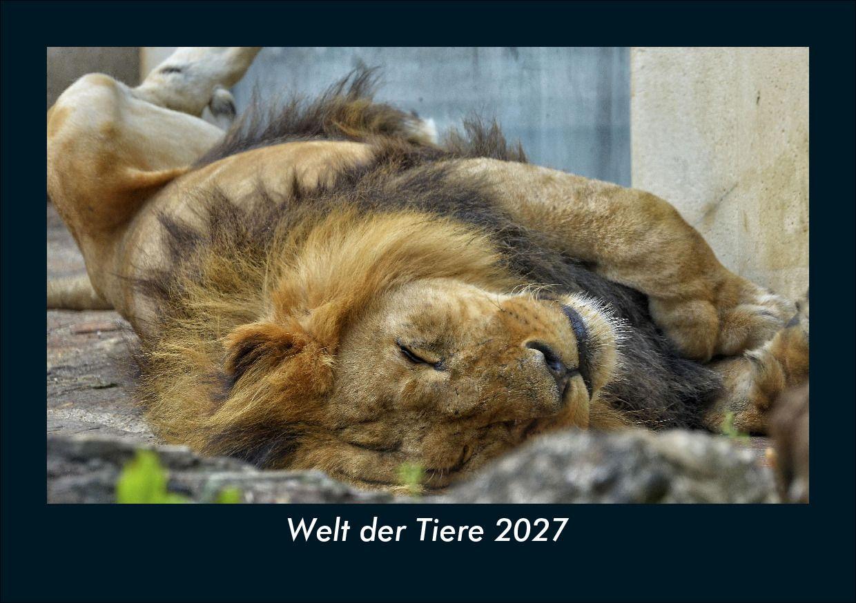 Welt der Tiere 2027 Fotokalender DIN A5