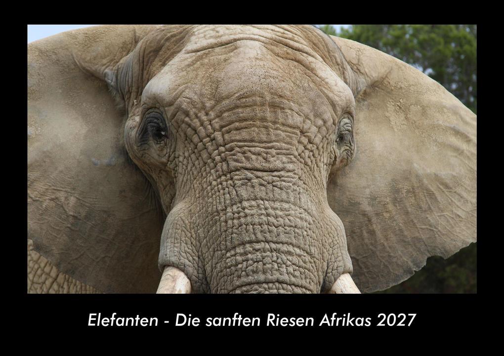 Elefanten - Die sanften Riesen Afrikas 2027 Fotokalender DIN A3