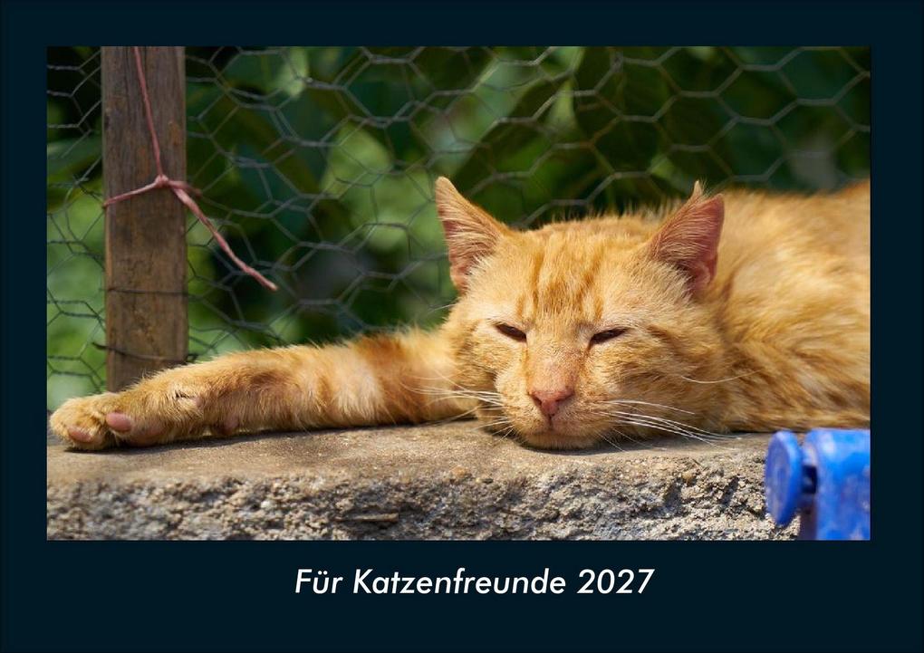 Für Katzenfreunde 2027 Fotokalender DIN A4