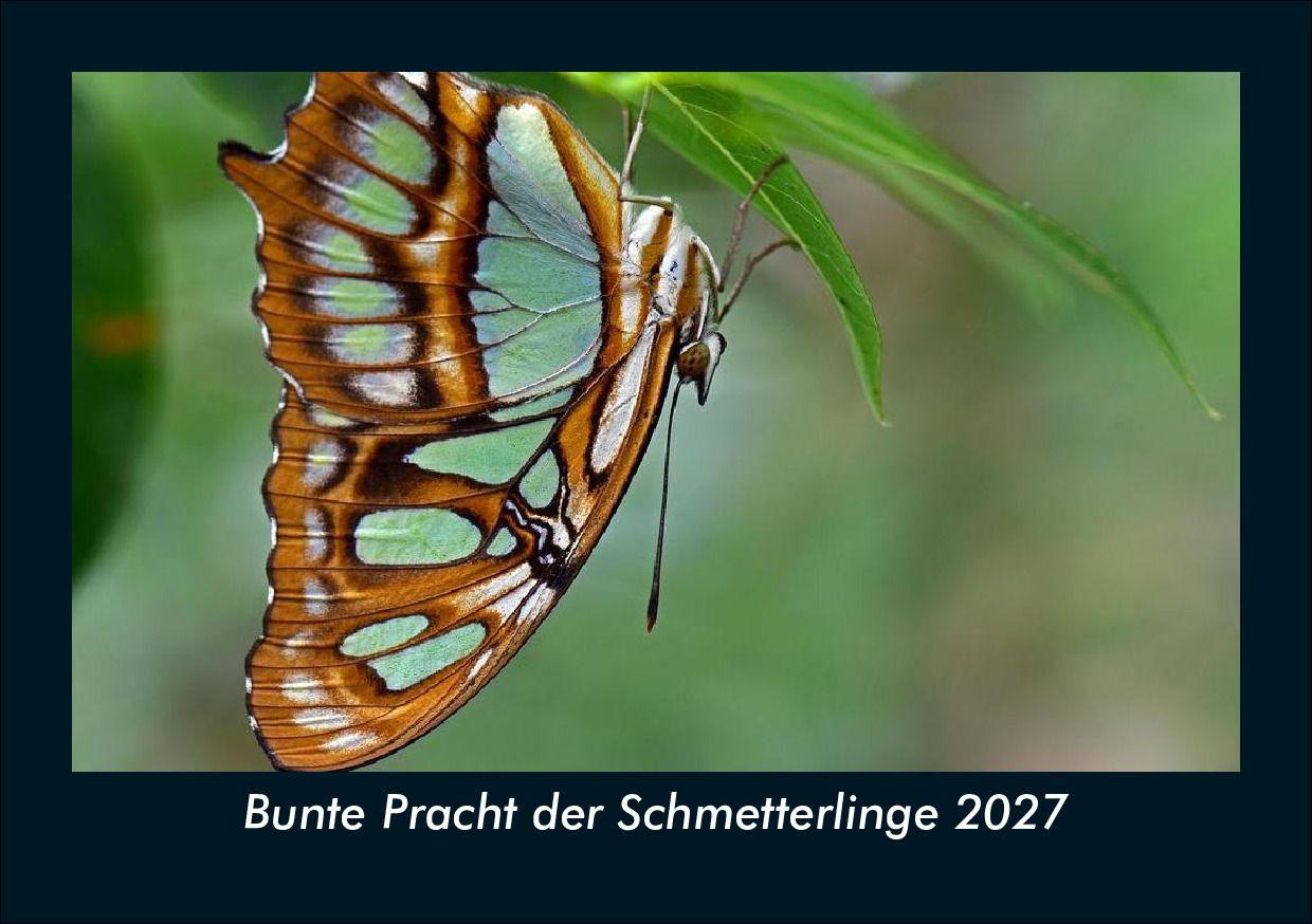 Bunte Pracht der Schmetterlinge 2027 Fotokalender DIN A5
